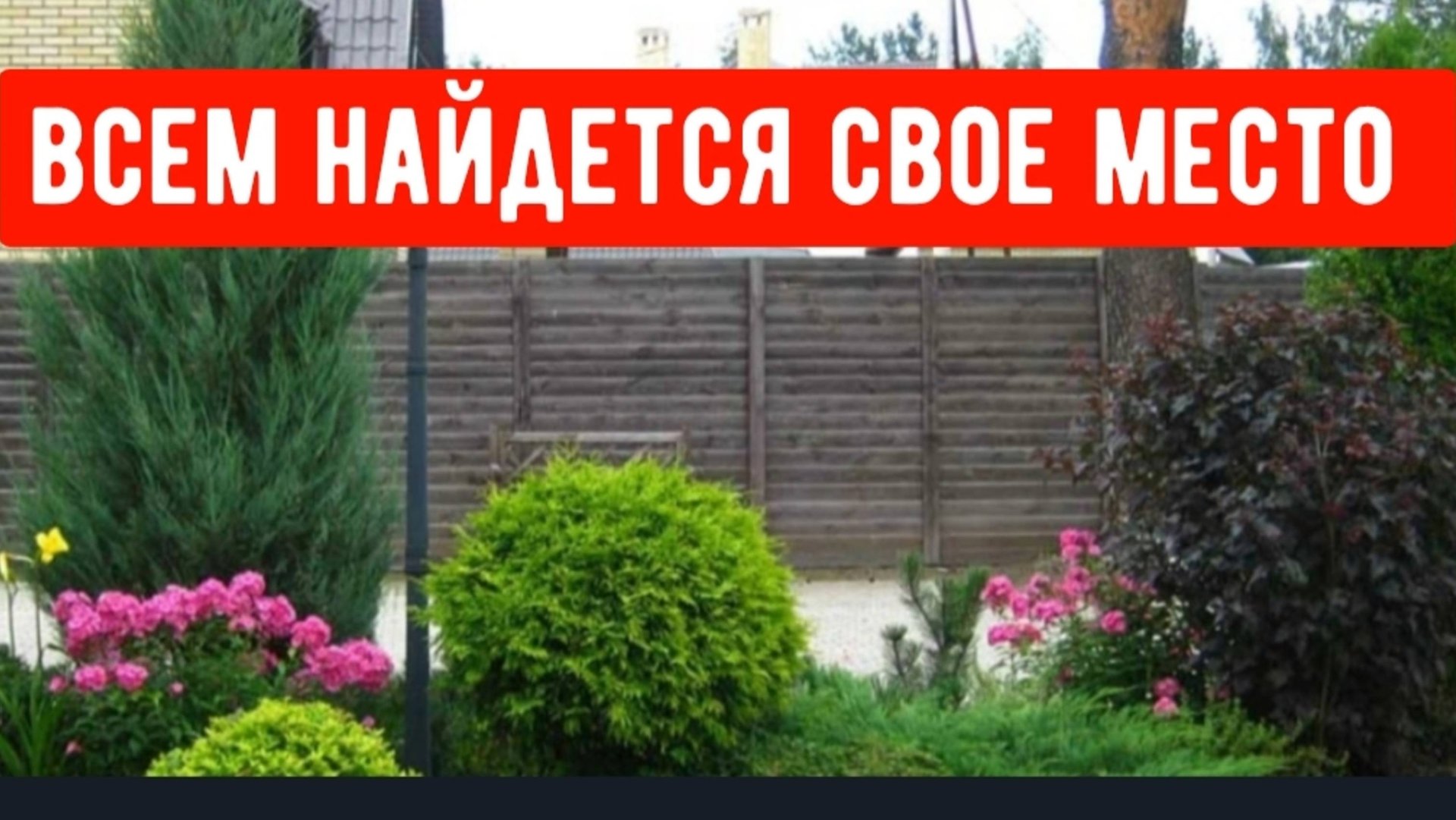 Жду мужа/Всем найдется свое место/Новое удобрение)Петунии по кашпо смотреть онлайн