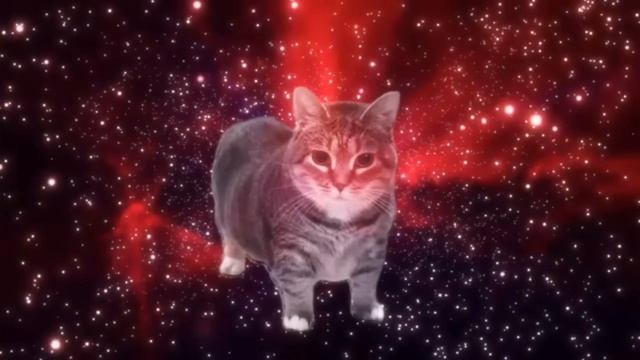 уиа смотреть онлайн