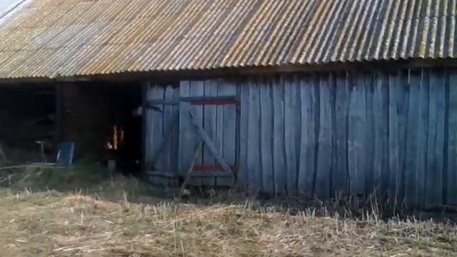 Снос старого коровника Апрель 2019 г. смотреть онлайн