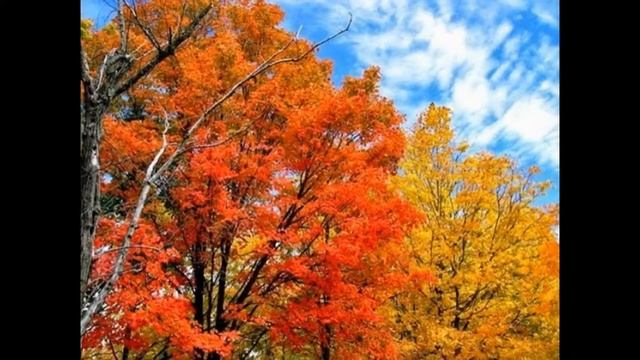 My Edited Video смотреть онлайн