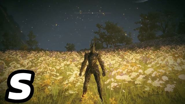 Ranking All 45 Elden Ring DLC Armor Sets From Worst to Best Fashion смотреть онлайн
