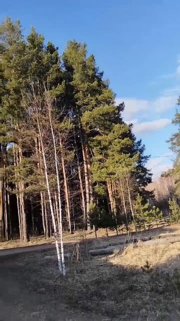 Какова же красива природа родного края смотреть онлайн