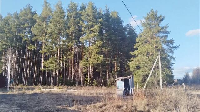 Природа перед зимой в апреле... Ветер перемен уже запустил полярный холод смотреть онлайн