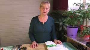 В чем выращивать рассаду. Пакеты для рассады. Лучшее решение!