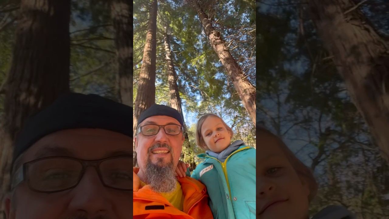 Почему ДЕРЕВЬЯ Такие Высокие? Секвойя. Миркина Школа.