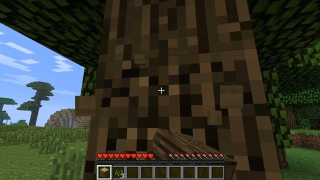 Minecraft Video Quality Check (First Video + Info) смотреть онлайн