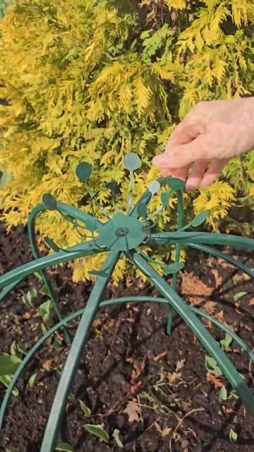 Незаменимый помощник вашим пионам 🌹 смотреть онлайн