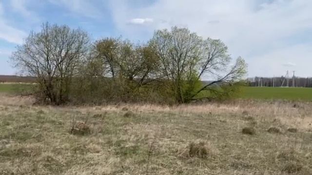 Ржаное поле смотреть онлайн