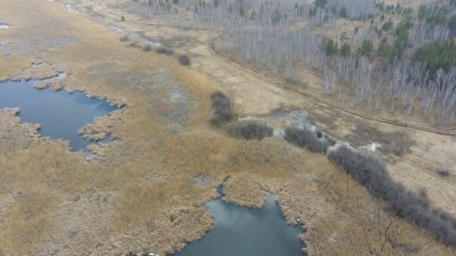 Меньщиковские болота смотреть онлайн