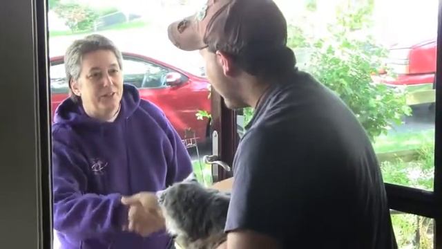 Pet Movers: Precious Pets Transport Services Profile смотреть онлайн