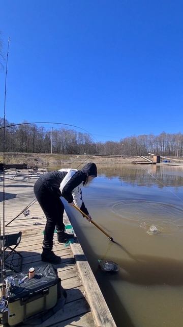 Поимки форели смотреть онлайн