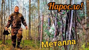 Забрал все находки и  накопал ещё!