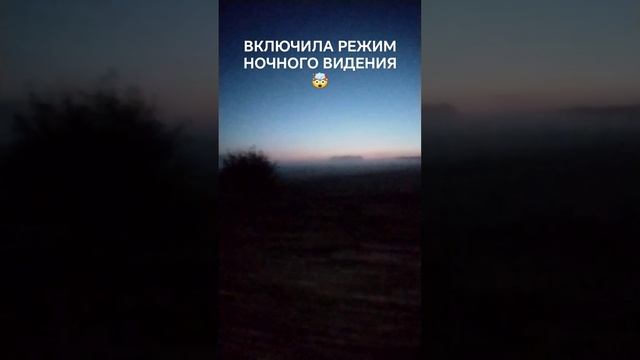 ПРИВИДЕНИЕ👻 😱👀СЪЁМКИ НОЧЬЮ У ЛЕСА🫣ЛЕСНОЙ ДУХ#funny#приколы#туман#россия#дорога смотреть онлайн