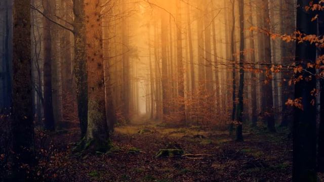 🎧 TELEPATHIC COMMUNICATION PRACTICE TECHNIQUE (Guided Telepathy Meditation) смотреть онлайн