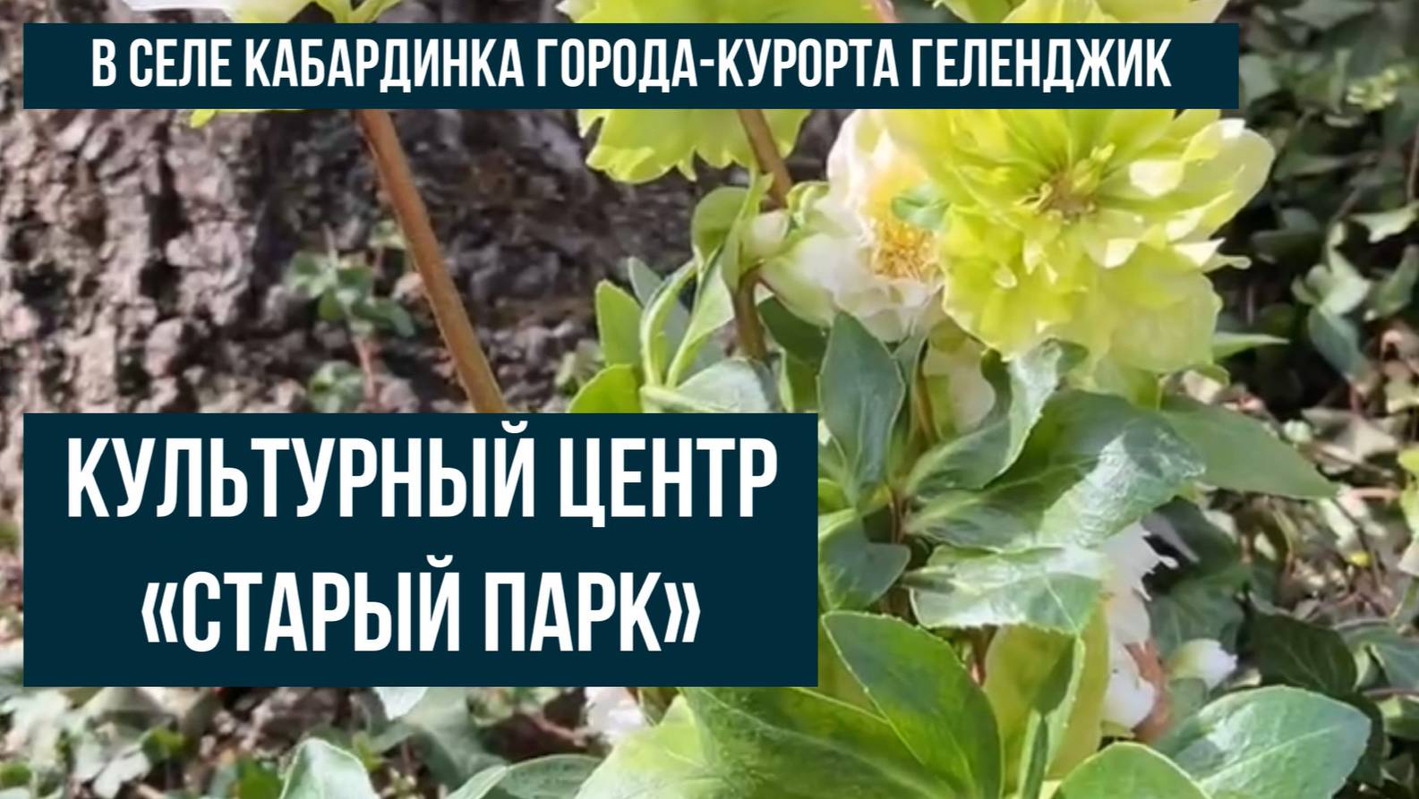 Старый Парк в Кабардинке, Геленджик, культурный центр смотреть онлайн
