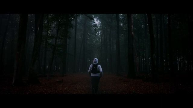 Dj Zakat Scarlet blood смотреть онлайн