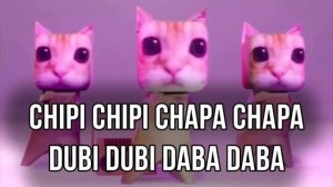 Чипи-чипи чапа-чапа