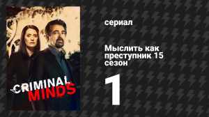 Мыслить как преступник 15 сезон 1 серия «Под кожей» (сериал, 2005-2020)
