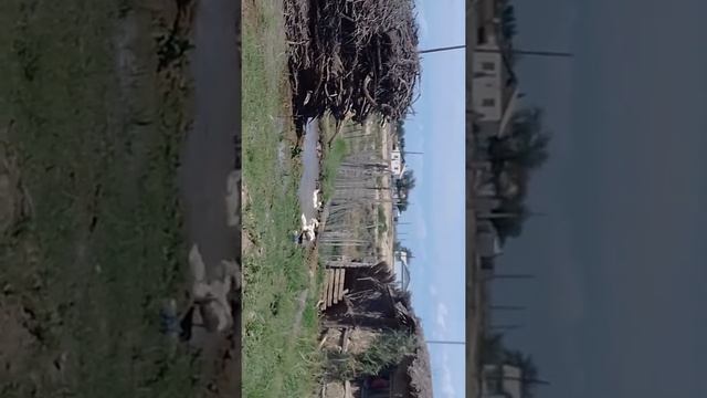 Аманөткел уйрек смотреть онлайн