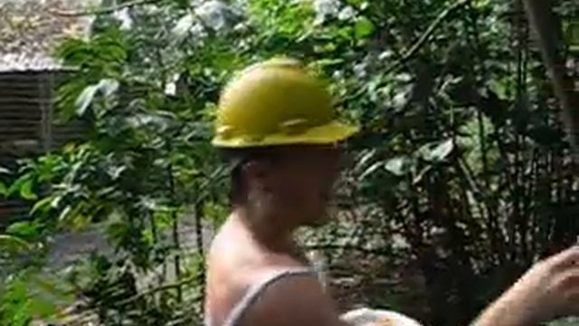 You Can With Toucans смотреть онлайн