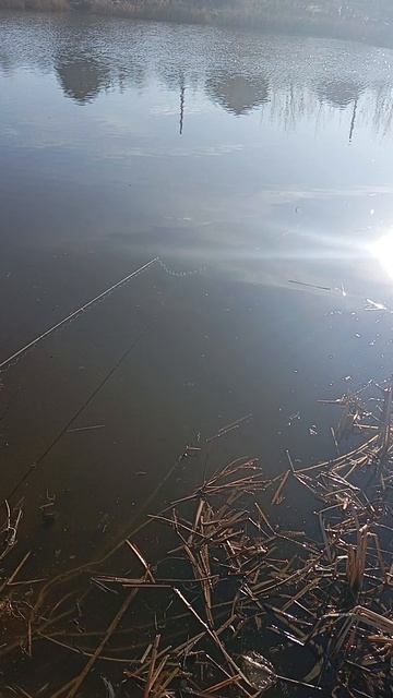 Всем доброе утро смотреть онлайн