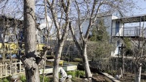 нахожусЬ В
ПРеКРаСНОМ
ВозРасТе: ДУРЬ
Уже ВыВетриЛась,
до маразма еще далеко.
