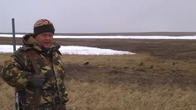 Охота на гусей в Ненецком АО смотреть онлайн