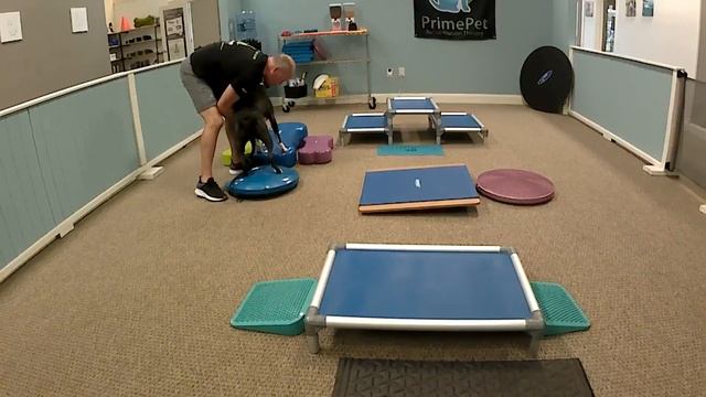 Cooper B Balancing and Shifting Weight 9/28/23 смотреть онлайн