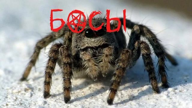 СКОРО ЛЕТО!!!! смотреть онлайн