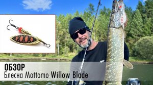 Mottomo Willow Blade. Универсальная блесна для рыбалки!