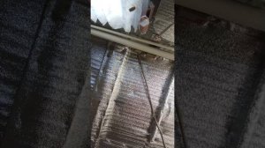 отвечаю на вопросы