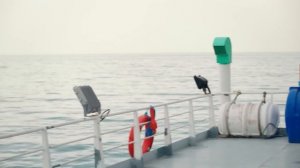Kuzey Yıldızı İlk Aşk 28. Bölüm