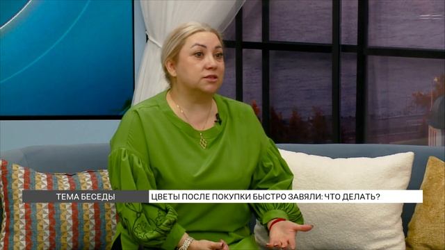 Цветы после покупки быстро завяли: что делать? смотреть онлайн