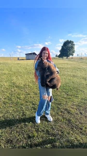 Трусова в Китае #трусова #александратрусова #фигурноекатание #фигурка #плющенко #двакрыла #shorts смотреть онлайн