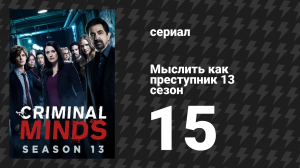 Мыслить как преступник 13 сезон 15 серия «Разрушитель» (сериал, 2005-2020)