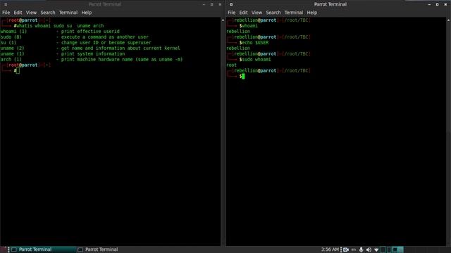 Seektik | Bash (Shell scripting) Beginner to Advanced - 10 смотреть онлайн