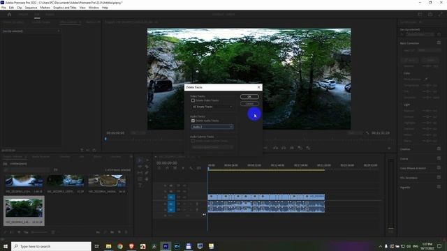 How to delete an entire Audio Track (Premiere Pro 2022, Alt + select) смотреть онлайн