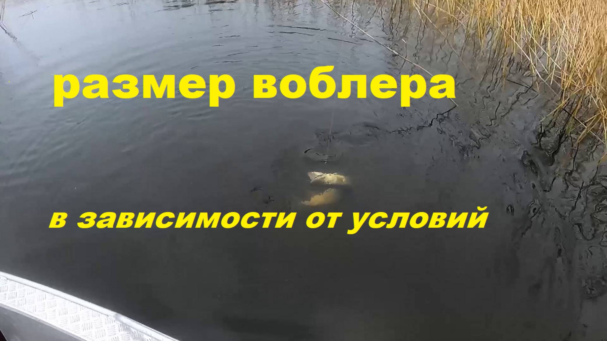 Размер воблера в зависимости от сезона и условий смотреть онлайн