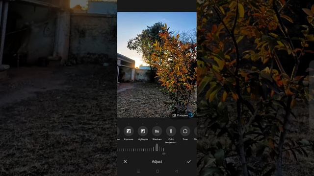 Oppo F17 Pro Camera Test Photo Editing ✨ 🔥