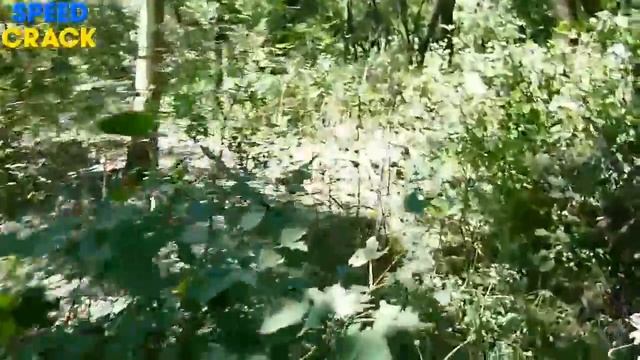 Канал новости Славянск Воронки в парке новости Украины 01 07 2014 смотреть онлайн