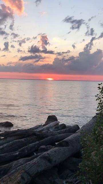 🌅 Закат на Обском море | Июнь 2024 🌊 #июнь2024 #закат #обскоеморе #июнь2024 смотреть онлайн