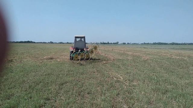 Трактор Т25 Владимирец сгребает сено в валки смотреть онлайн