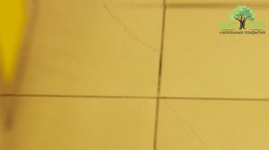 Какое покрытие выбрать для пола_ керамогранит или кварц-винил