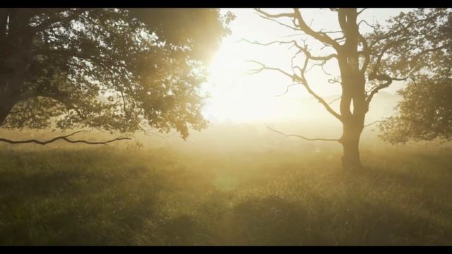 1 - Sleepy Baby Music - Relaxing Forest Music & Sounds (Calming, Meditation, Sensory) смотреть онлайн
