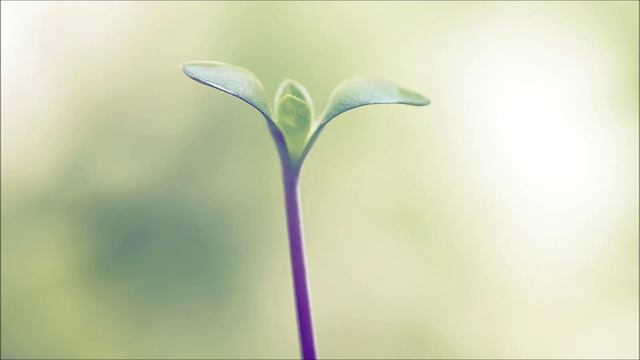 Mike Rowland - Land of Hope смотреть онлайн