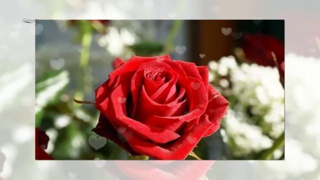 ✿Весенний вальс✿. Слайд-шоу за 5 минут! смотреть онлайн