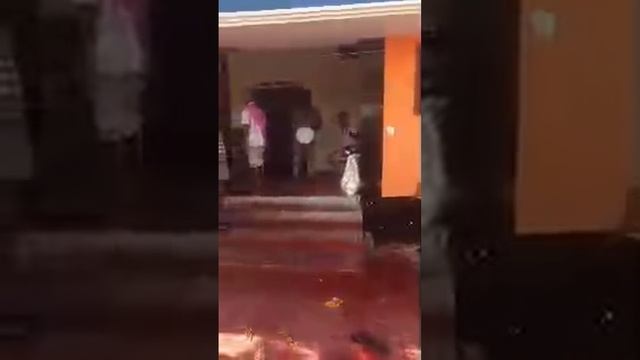 Holi ka jashn #Holi #live смотреть онлайн
