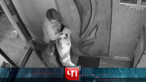 «ЧП»: 4 апреля 2025 года | «Чрезвычайное происшествие» на НТВ