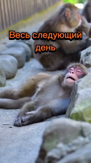 Ничего страшного смотреть онлайн