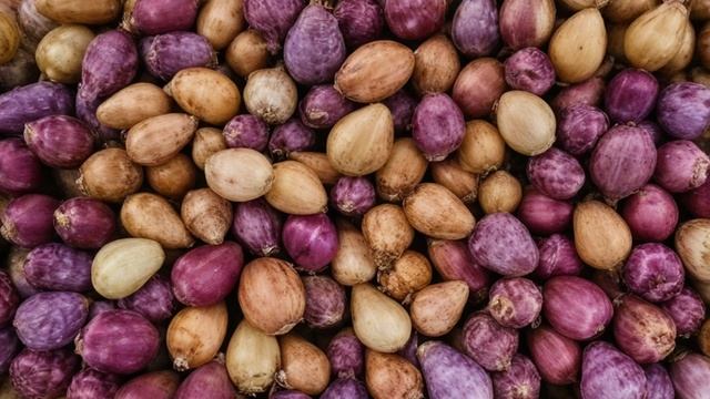 Выгонка гиацинтов - Сад-огород